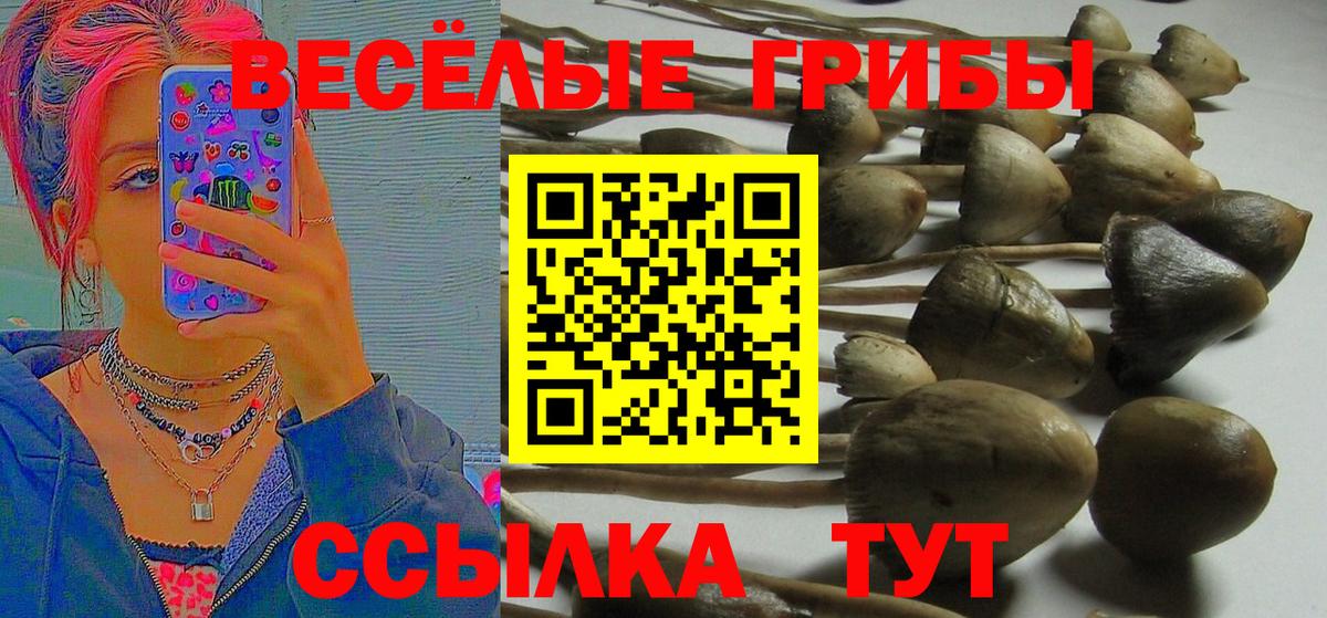 Псилоцибиновые грибы ЛСД  Галлюциногенные грибы Psilocybe  Вход с VPN  Чусовой 